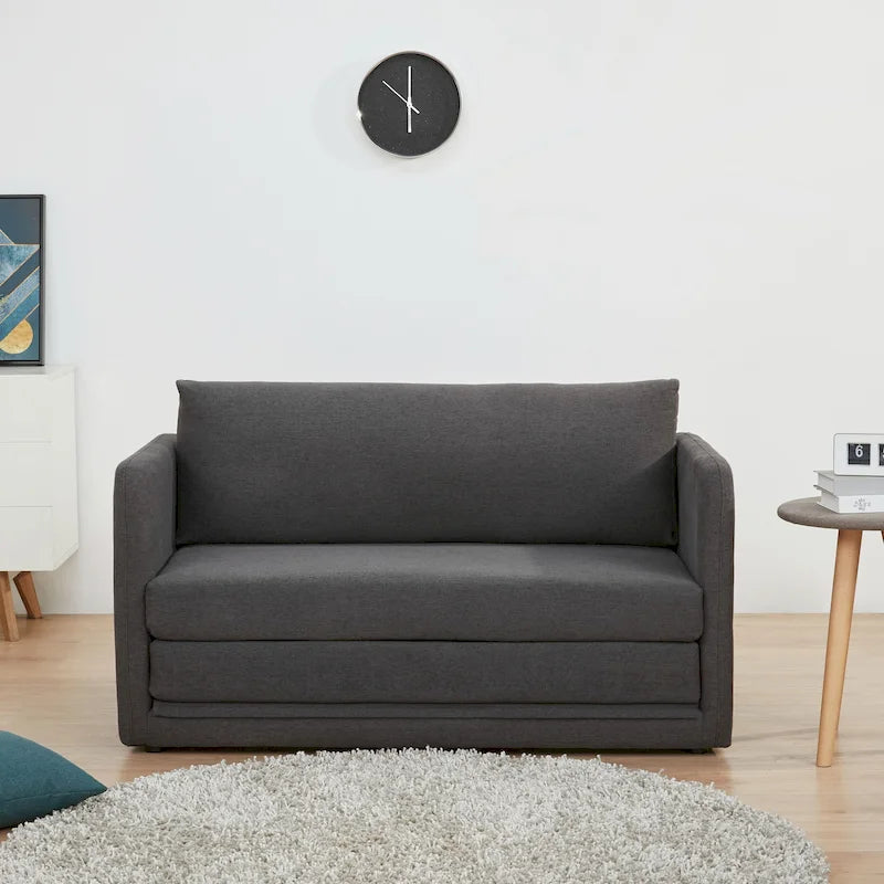 Sleeper Sofa Loveseat