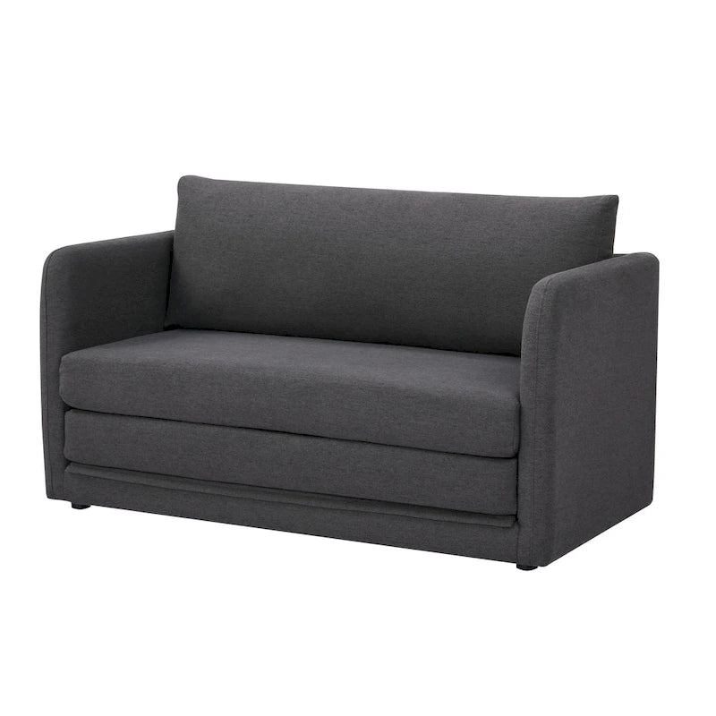 Sleeper Sofa Loveseat