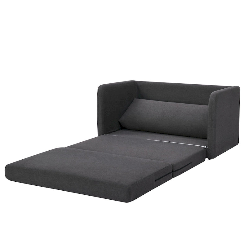 Sleeper Sofa Loveseat