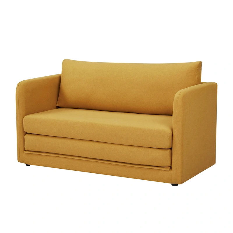 Sleeper Sofa Loveseat