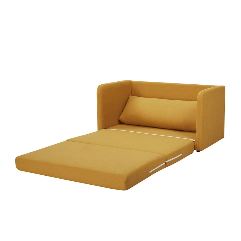 Sleeper Sofa Loveseat