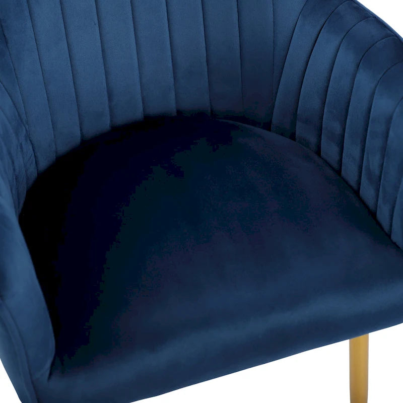 Velvet Accent Dining Chairs with Gold Metal Legs Set of 2