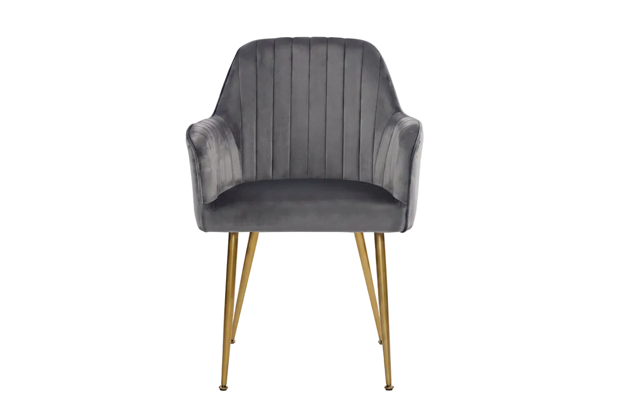 Velvet Accent Dining Chairs with Gold Metal Legs Set of 2