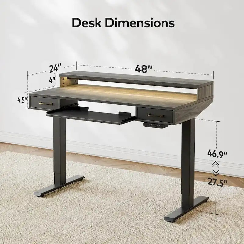 Height Adjustable Electric Standing Desk with Double Drawers&Keyboard Tray, Stand Up Desk with LED Strips
