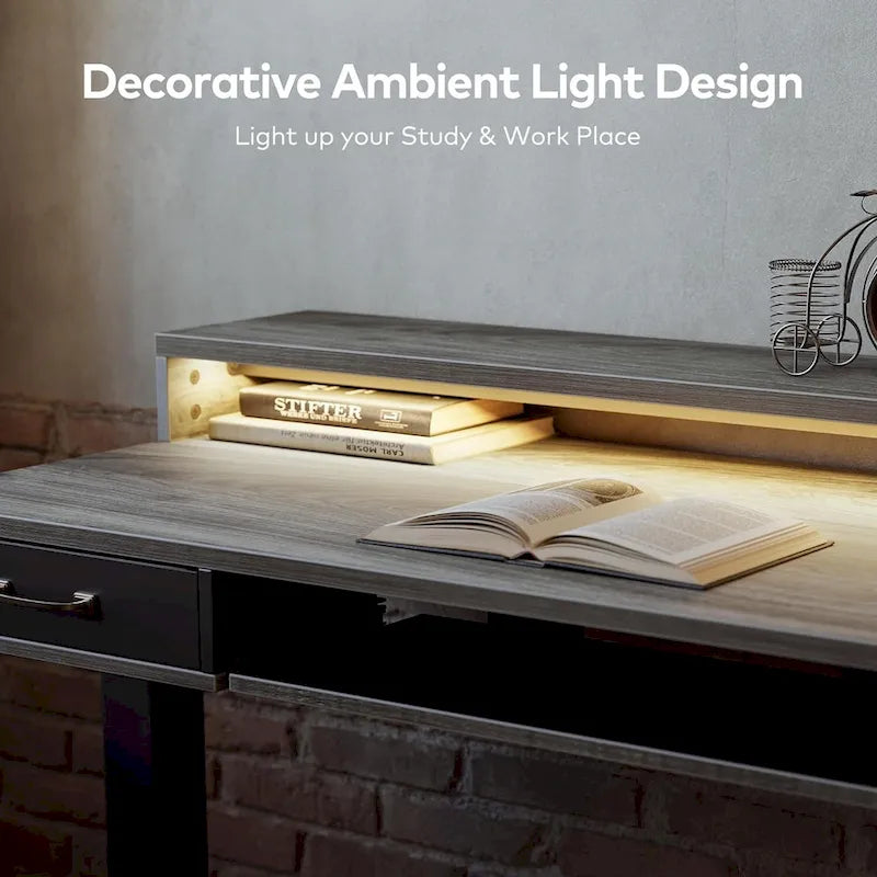 Height Adjustable Electric Standing Desk with Double Drawers&Keyboard Tray, Stand Up Desk with LED Strips