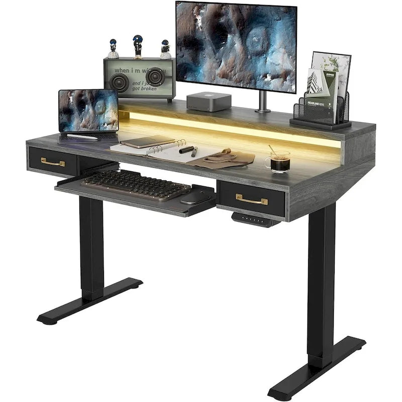 Height Adjustable Electric Standing Desk with Double Drawers&Keyboard Tray, Stand Up Desk with LED Strips