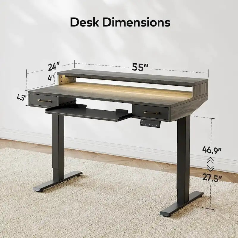 Height Adjustable Electric Standing Desk with Double Drawers&Keyboard Tray, Stand Up Desk with LED Strips